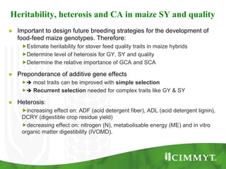 Improving the value of maize as livestock feed to enhance the livelihoods of maize-livestock farmers in East Africa