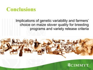 Improving the value of maize as livestock feed to enhance the livelihoods of maize-livestock farmers in East Africa