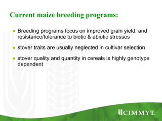Improving the value of maize as livestock feed to enhance the livelihoods of maize-livestock farmers in East Africa