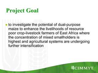 Improving the value of maize as livestock feed to enhance the livelihoods of maize-livestock farmers in East Africa