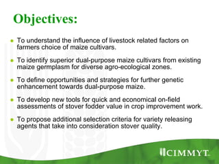 Improving the value of maize as livestock feed to enhance the livelihoods of maize-livestock farmers in East Africa