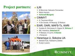 Improving the value of maize as livestock feed to enhance the livelihoods of maize-livestock farmers in East Africa