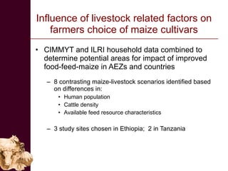 Improving the value of maize as livestock feed to enhance the livelihoods of maize-livestock farmers in East Africa