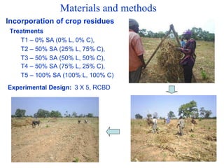 Balancing Livestock Needs and Soil Conservation: Assessment of Opportunities in Intensifying Cereal-Legume-Livestock Systems in West Africa