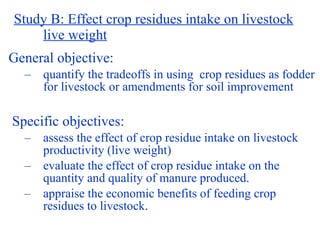 Balancing Livestock Needs and Soil Conservation: Assessment of Opportunities in Intensifying Cereal-Legume-Livestock Systems in West Africa