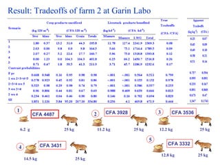 Balancing Livestock Needs and Soil Conservation: Assessment of Opportunities in Intensifying Cereal-Legume-Livestock Systems in West Africa