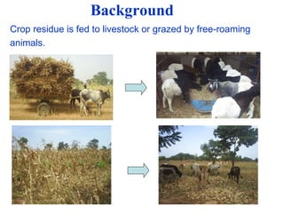 Balancing Livestock Needs and Soil Conservation: Assessment of Opportunities in Intensifying Cereal-Legume-Livestock Systems in West Africa
