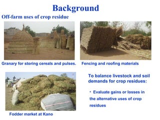 Balancing Livestock Needs and Soil Conservation: Assessment of Opportunities in Intensifying Cereal-Legume-Livestock Systems in West Africa