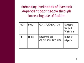 Fodder Adoption and Innovation Projects (FAP and FIP)
