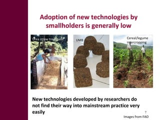 Adoption of new technologies by smallholders is generally low New technologies developed by researchers do not find their ...