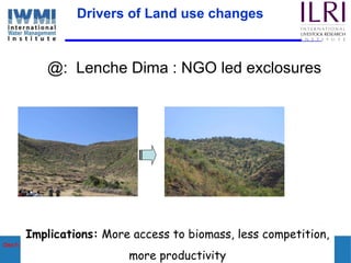 Enhancing Water Productivity in Crop-Livestock Systems of SSA:  Minimizing trade-offs and maximizing benefits