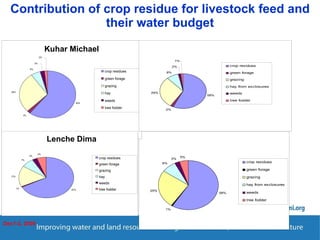 Enhancing Water Productivity in Crop-Livestock Systems of SSA:  Minimizing trade-offs and maximizing benefits