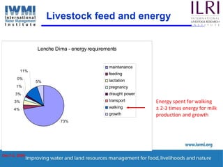 Enhancing Water Productivity in Crop-Livestock Systems of SSA:  Minimizing trade-offs and maximizing benefits