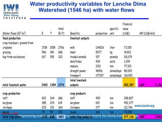 Enhancing Water Productivity in Crop-Livestock Systems of SSA:  Minimizing trade-offs and maximizing benefits