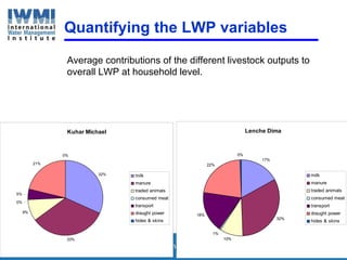 Enhancing Water Productivity in Crop-Livestock Systems of SSA:  Minimizing trade-offs and maximizing benefits