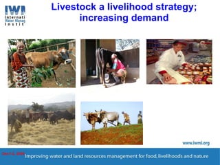 Enhancing Water Productivity in Crop-Livestock Systems of SSA:  Minimizing trade-offs and maximizing benefits