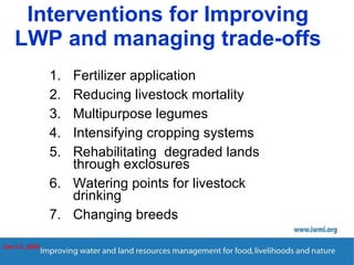 Enhancing Water Productivity in Crop-Livestock Systems of SSA:  Minimizing trade-offs and maximizing benefits