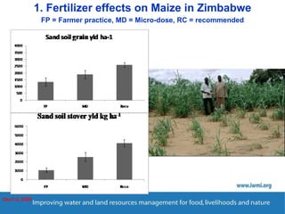 Enhancing Water Productivity in Crop-Livestock Systems of SSA:  Minimizing trade-offs and maximizing benefits
