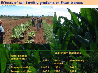 Enhancing Water Productivity in Crop-Livestock Systems of SSA:  Minimizing trade-offs and maximizing benefits