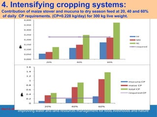 Enhancing Water Productivity in Crop-Livestock Systems of SSA:  Minimizing trade-offs and maximizing benefits