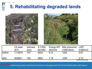 Enhancing Water Productivity in Crop-Livestock Systems of SSA:  Minimizing trade-offs and maximizing benefits