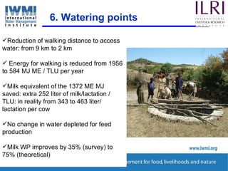 Enhancing Water Productivity in Crop-Livestock Systems of SSA:  Minimizing trade-offs and maximizing benefits