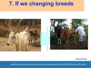 Enhancing Water Productivity in Crop-Livestock Systems of SSA:  Minimizing trade-offs and maximizing benefits