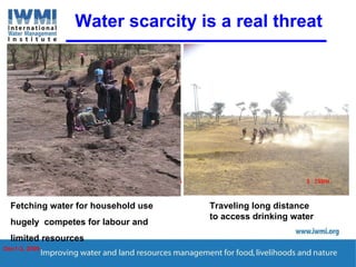 Enhancing Water Productivity in Crop-Livestock Systems of SSA:  Minimizing trade-offs and maximizing benefits
