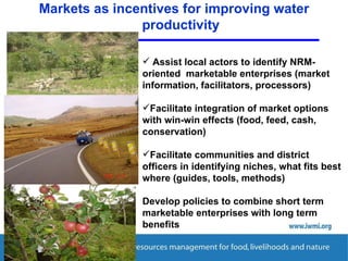 Enhancing Water Productivity in Crop-Livestock Systems of SSA:  Minimizing trade-offs and maximizing benefits