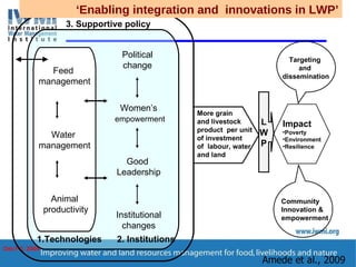 Enhancing Water Productivity in Crop-Livestock Systems of SSA:  Minimizing trade-offs and maximizing benefits