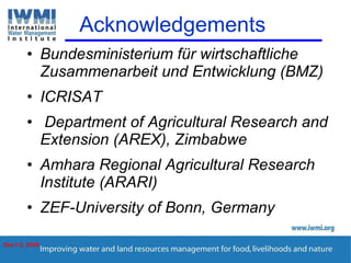 Enhancing Water Productivity in Crop-Livestock Systems of SSA:  Minimizing trade-offs and maximizing benefits