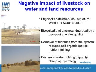 Enhancing Water Productivity in Crop-Livestock Systems of SSA:  Minimizing trade-offs and maximizing benefits