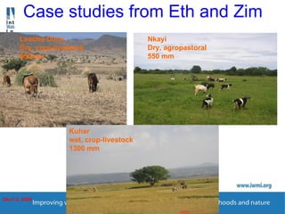 Enhancing Water Productivity in Crop-Livestock Systems of SSA:  Minimizing trade-offs and maximizing benefits