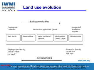 Enhancing Water Productivity in Crop-Livestock Systems of SSA:  Minimizing trade-offs and maximizing benefits