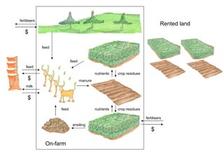 Modelling approaches to address crop-residue tradeoffs in mixed crop-livestock systems