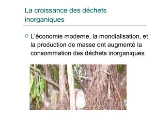 La croissance des déchets inorganiques L’économie moderne, la mondialisation, et la production de masse ont augmenté la consommation des déchets inorganiques 