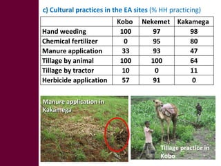 Optimizing livelihood and environmental benefits from crop residues in smallholder crop-livestock systems in sub-Saharan Africa and South Asia: regional case studies. Progress and preliminary research findings for East African sites