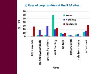 Optimizing livelihood and environmental benefits from crop residues in smallholder crop-livestock systems in sub-Saharan Africa and South Asia: regional case studies. Progress and preliminary research findings for East African sites