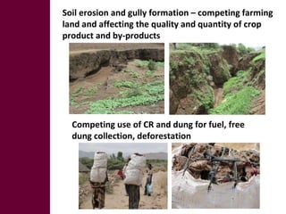 Optimizing livelihood and environmental benefits from crop residues in smallholder crop-livestock systems in sub-Saharan Africa and South Asia: regional case studies. Progress and preliminary research findings for East African sites