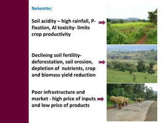 Optimizing livelihood and environmental benefits from crop residues in smallholder crop-livestock systems in sub-Saharan Africa and South Asia: regional case studies. Progress and preliminary research findings for East African sites