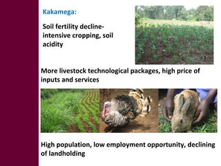 Optimizing livelihood and environmental benefits from crop residues in smallholder crop-livestock systems in sub-Saharan Africa and South Asia: regional case studies. Progress and preliminary research findings for East African sites