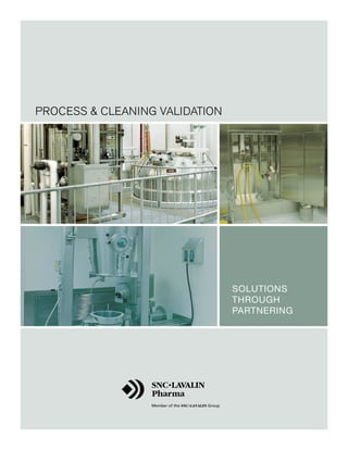 PROCESS & CLEANING VALIDATION




                                SolutionS
                                through
                                Partnering
 