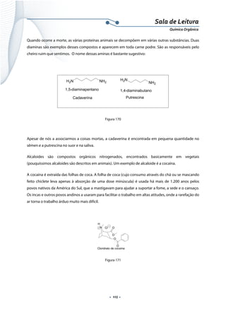  
 
 
.  115 . 
Sala de Leitura 
Química Orgânica 
Quando ocorre a morte, as várias proteínas animais se decompõem em várias outras substâncias. Duas
diaminas são exemplos desses compostos e aparecem em toda carne podre. São as responsáveis pelo
cheiro ruim que sentimos. O nome dessas aminas é bastante sugestivo:
 
H2N NH2
Cadaverina
H2N
NH2
1,4-diaminabutano1,5-diaminapentano
Putrescina
 
Figura 170
Apesar de nós a associarmos a coisas mortas, a cadaverina é encontrada em pequena quantidade no
sêmen e a putrescina no suor e na saliva.
Alcaloides são compostos orgânicos nitrogenados, encontrados basicamente em vegetais
(pouquíssimos alcaloides são descritos em animais). Um exemplo de alcaloide é a cocaína.
A cocaína é extraída das folhas de coca. A folha de coca (cujo consumo através do chá ou se mascando
feito chiclete leva apenas à absorção de uma dose minúscula) é usada há mais de 1.200 anos pelos
povos nativos da América do Sul, que a mastigavam para ajudar a suportar a fome, a sede e o cansaço.
Os incas e outros povos andinos a usaram para facilitar o trabalho em altas atitudes, onde a rarefação do
ar torna o trabalho árduo muito mais difícil.
N
H
Cl O
O
O
O
Cloridrato de cocaína  
Figura 171
 