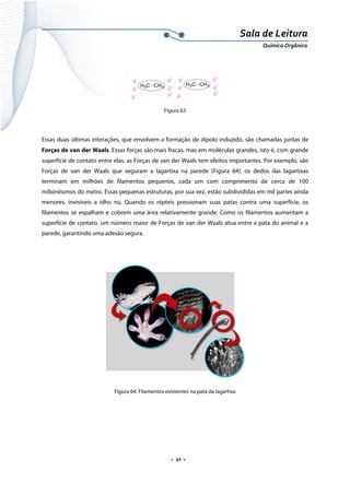  
 
 
.  41 . 
Sala de Leitura 
Química Orgânica 
δ− δ
+
δ−
δ−
δ+
δ+
H3C CH3
δ− δ+
δ−
δ−
δ+
δ+
H3C CH3
 
Figura 63
 
Essas duas últimas interações, que envolvem a formação de dipolo induzido, são chamadas juntas de
Forças de van der Waals. Essas forças são mais fracas, mas em moléculas grandes, isto é, com grande
superfície de contato entre elas, as Forças de van der Waals tem efeitos importantes. Por exemplo, são
Forças de van der Waals que seguram a lagartixa na parede (Figura 64): os dedos das lagartixas
terminam em milhões de filamentos pequenos, cada um com comprimento de cerca de 100
milionésimos do metro. Essas pequenas estruturas, por sua vez, estão subdivididas em mil partes ainda
menores, invisíveis a olho nu. Quando os répteis pressionam suas patas contra uma superfície, os
filamentos se espalham e cobrem uma área relativamente grande. Como os filamentos aumentam a
superfície de contato, um número maior de Forças de van der Waals atua entre a pata do animal e a
parede, garantindo uma adesão segura.
 
Figura 64: Filamentos existentes na pata da lagartixa
 
 
 
 
 