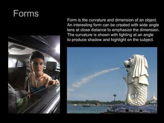 Forms Form is the curvature and dimension of an object.  An interesting form can be created with wide angle lens at close distance to emphasize the dimension.  The curvature is shown with lighting at an angle  to produce shadow and highlight on the subject. 