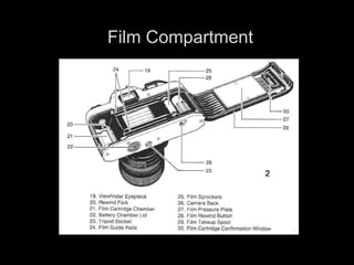Film Compartment 