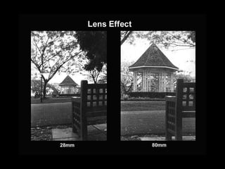 Lens A lens is used to focus a sharp image onto the recording material It comes in different focal length Different focal length of a lens creates perspective differently Short focal length of a lens has a wide angle of coverage Therefore short focal length of a lens is called wide angle lens Wide angle lens has exaggerated perspective that increases depth Long focal length of a lens has a narrow angle of coverage Therefore long focal length of a lens is called telephoto lens Telephoto lens has compressed perspective that decreases depth The standard lens is called normal lens Normal lens has the same perspective as the eyes see 