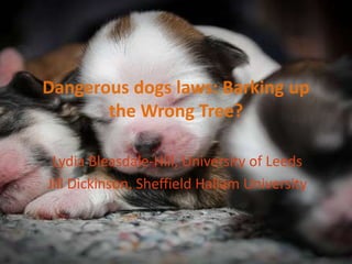 Dangerous dogs laws: Barking up 
the Wrong Tree? 
Lydia Bleasdale-Hill, University of Leeds 
Jill Dickinson, Sheffield Hallam University 
 