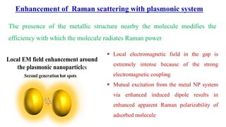 Surface Enhanced Raman Spectroscopy | PDF