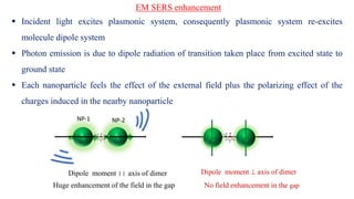 Surface Enhanced Raman Spectroscopy | PDF